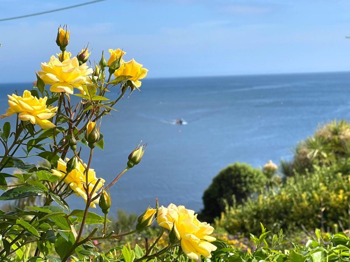 Mousehole Cottage เพนแซนซ์ ภายนอก รูปภาพ